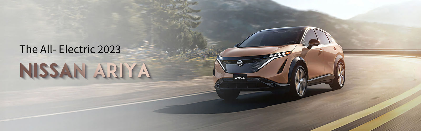 quality Dongfeng EV Car factory