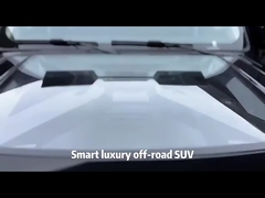 SUV Great Wall Tank 300 Car Gasoline Vehicles 2.0t Wey Tank 300 SUV