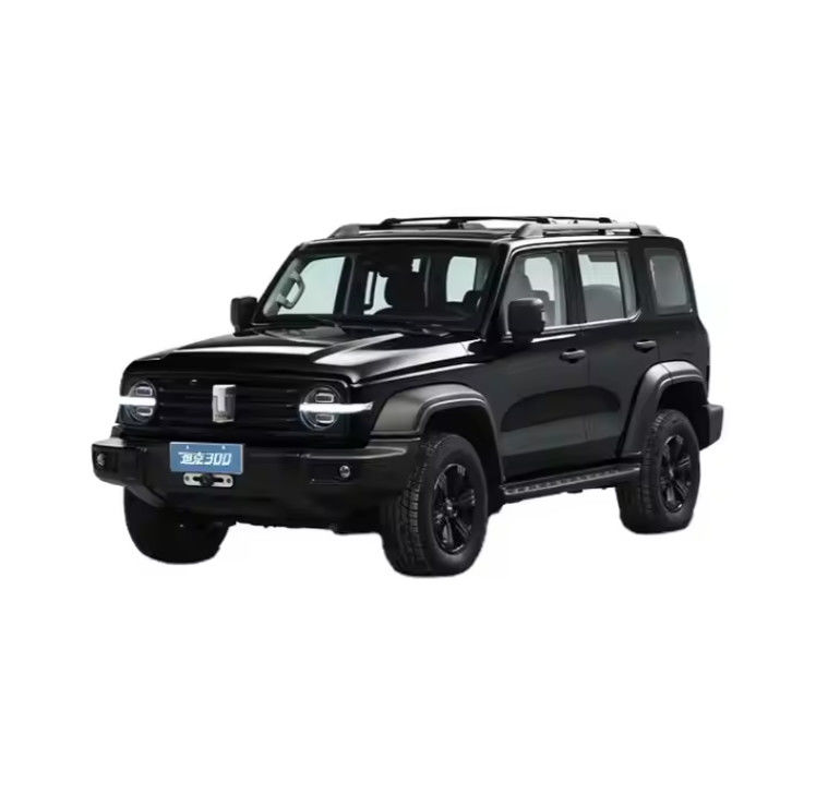 2024 Great Wall Gwm Tank 300 2.0T Petrol Fuel 4Wd Vehicle Suv Phev Hybrid Ev City Version