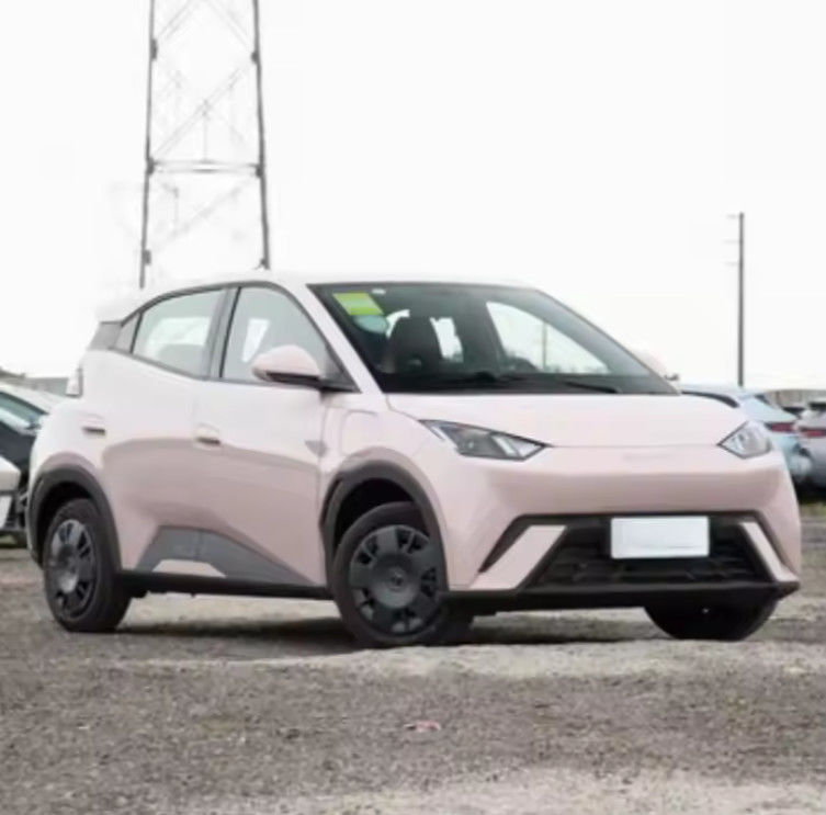 Electric EV Car 2025 BYD Low Price Seagull Vitality 305km Glory Style EV Electric Car